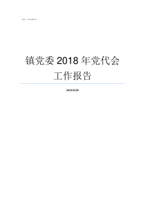 镇党委2018年党代会工作报告2018年支部委员会记录