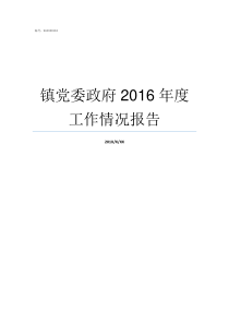 镇党委政府2016年度工作情况报告