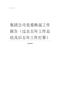 集团公司党委换届工作报告过去五年工作总结及后五年工作打算