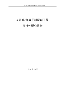 5万吨离子膜烧碱工程可行性研究报告