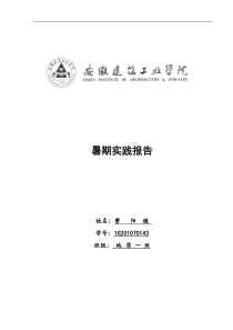 暑期普法宣传社会实践报告