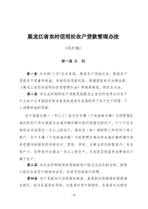 黑龙江省农村信用社农户贷款管理办法(试行稿)