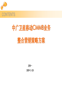 中广卫星移动CMMB业务整合营销策略方案王传一