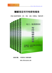 糠醛项目可行性研究报告(专业经典案例)