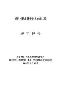 桥头村贾家堡子饮水安全工程竣工资料