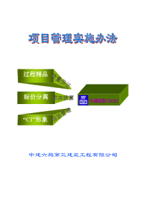 项目管理实施办法