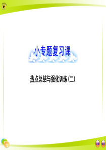 小专题复习课  热点总结与强化训练(二)