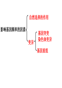 共同化与生物多样性