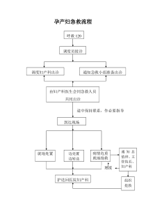 孕产妇120急救流程图