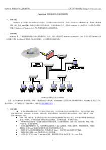 网络监控和入侵检测系统