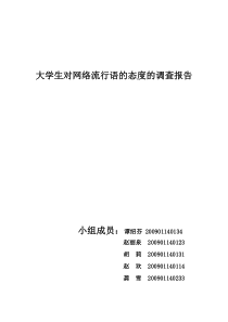 大学生对网络流行语的态度的调查报告