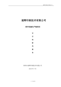 彩印包装生产项目可行性研究报告 (1)