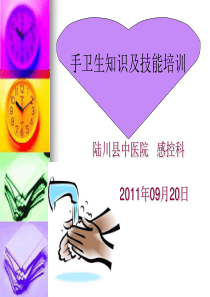 2010年手卫生知识培训