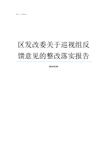 区发改委关于巡视组反馈意见的整改落实报告