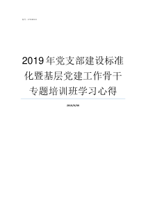 2019年党支部建设标准化暨基层党建工作骨干专题培训班学习心得2019年党支部建设年专用词