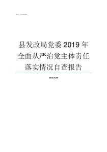 县发改局党委2019年全面从严治党主体责任落实情况自查报告2019年党委中心组学什么