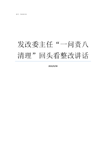 发改委主任一问责八清理回头看整改讲话华容县委问责办主任