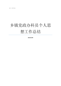 乡镇党政办科员个人思想工作总结人民政府科员