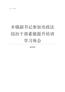 乡镇副书记参加市政法综治干部素能提升培训学习体会新任广东省政法副书记