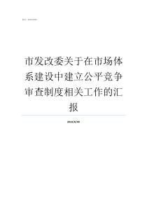 市发改委关于在市场体系建设中建立公平竞争审查制度相关工作的汇报