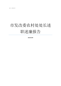 市发改委农村处处长述职述廉报告湖北发改委各处处长