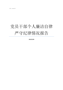 党员干部个人廉洁自律严守纪律情况报告