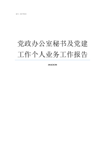 党政办公室秘书及党建工作个人业务工作报告