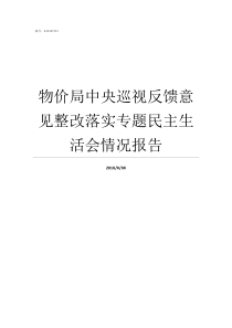 物价局中央巡视反馈意见整改落实专题民主生活会情况报告