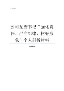 公司党委书记强化责任严守纪律树好形象个人剖析材料党委书记责任