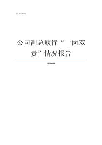 公司副总履行一岗双责情况报告