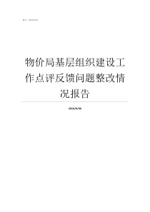 物价局基层组织建设工作点评反馈问题整改情况报告