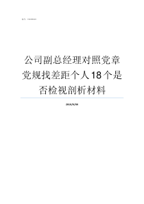 公司副总经理对照党章党规找差距个人18个是否检视剖析材料对照党章找差距