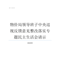 物价局领导班子中央巡视反馈意见整改落实专题民主生活会请示物价局局长