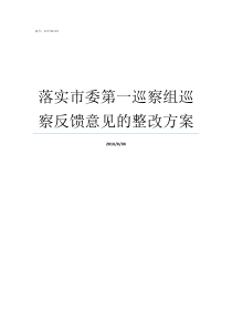 落实市委第一巡察组巡察反馈意见的整改方案市委巡察整改方案