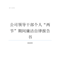 公司领导干部个人两节期间廉洁自律报告书领导干部个人事项