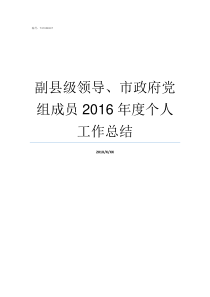 副县级领导市政府党组成员2016年度个人工作总结济南市政府党