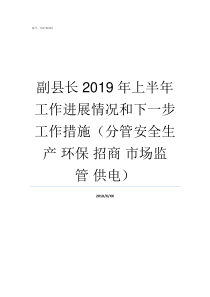 副县长2019年上半年工作进展情况和下一步工作措施分管安全生产nbsp环保nbsp招商nbsp市场监