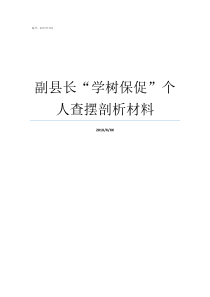 副县长学树保促个人查摆剖析材料副县长有几个