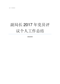 副局长2017年党员评议个人工作总结