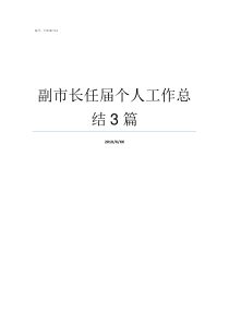 副市长任届个人工作总结3篇