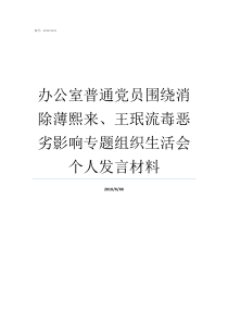 办公室普通党员围绕消除薄熙来王珉流毒恶劣影响专题组织生活会个人发言材料党员群众