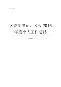 区委副书记区长2016年度个人工作总结