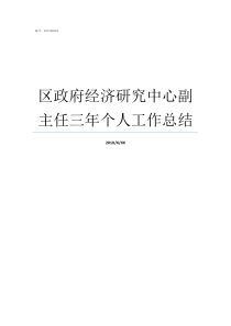 区政府经济研究中心副主任三年个人工作总结