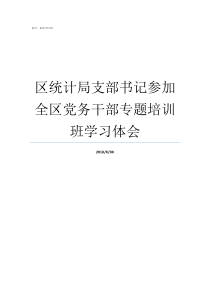 区统计局支部书记参加全区党务干部专题培训班学习体会支部书记发言