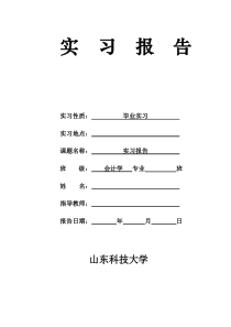 会计专业实习报告