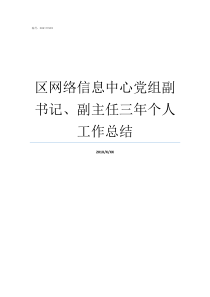 区网络信息中心党组副书记副主任三年个人工作总结