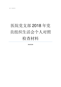 医院党支部2018年党员组织生活会个人对照检查材料