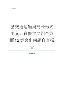 县交通运输局局长形式主义官僚主义四个方面12类突出问题自查报告