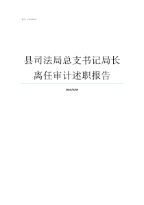 县司法局总支书记局长离任审计述职报告