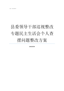 县委领导干部巡视整改专题民主生活会个人查摆问题整改方案县委巡视整改征求意见表